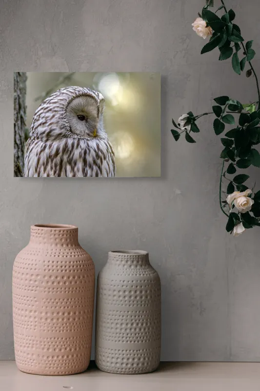 Tablou Canvas, "Bufnița contemplativă în lumina dimineții", Bufniță, Pene, Natură, Calm, Ochi, Textură, Ramură, Lumină, Blând., 54 x 39 cm – poza 8