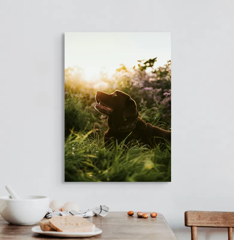 Tablou Canvas, "Câine bucurându-se de apusul verii", Câine, Soare, Iarbă, Flori, Apus, Fericire, 50 x 70 cm – poza 3