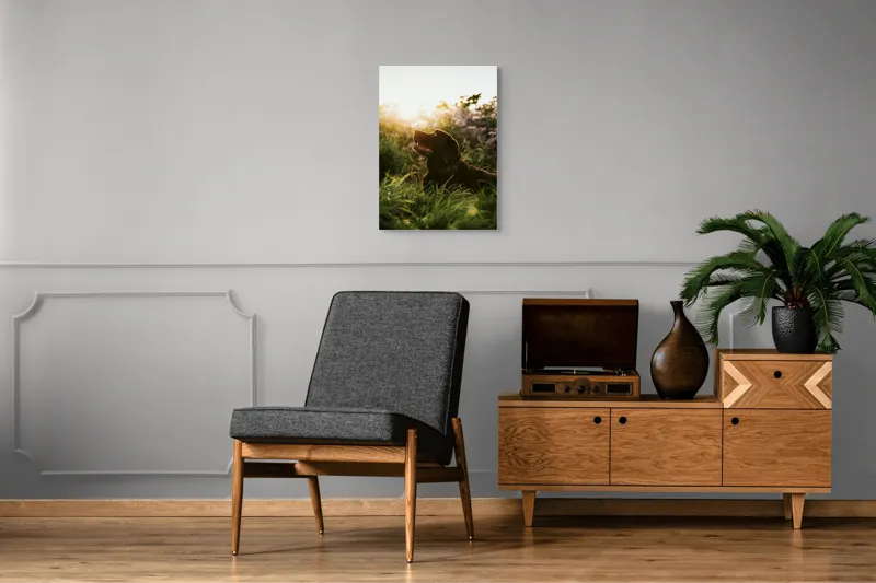 Tablou Canvas, "Câine bucurându-se de apusul verii", Câine, Soare, Iarbă, Flori, Apus, Fericire, 50 x 70 cm – poza 8
