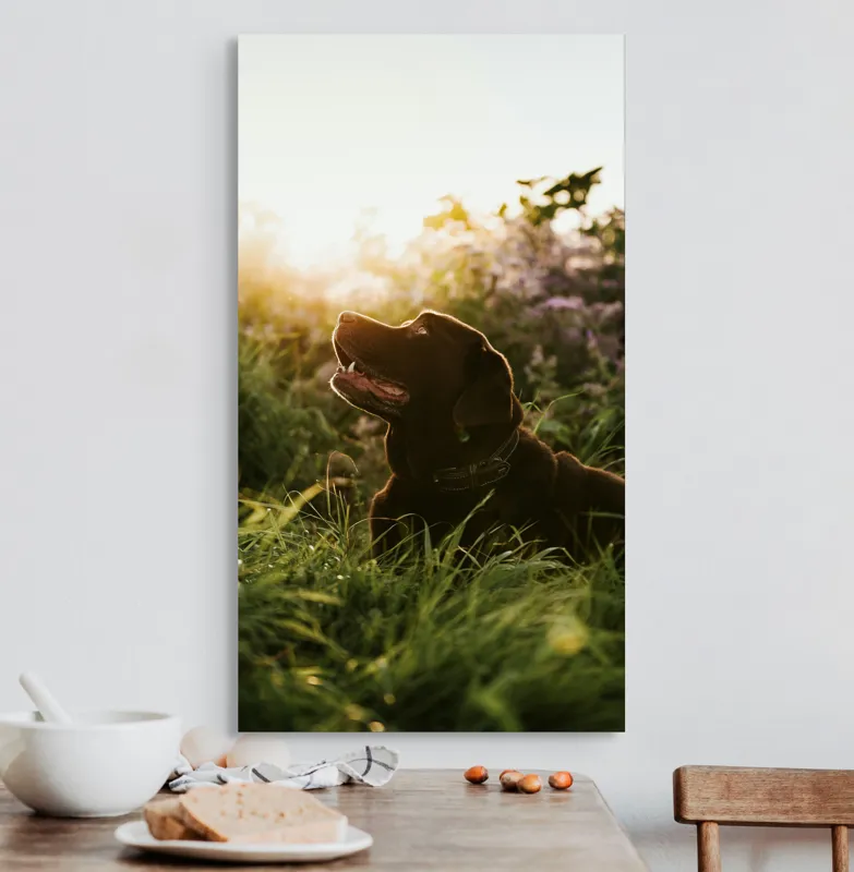 Tablou Canvas, "Câine bucurându-se de apusul verii", Câine, Soare, Iarbă, Flori, Apus, Fericire, 50 x 90 cm – poza 3
