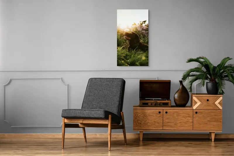Tablou Canvas, "Câine bucurându-se de apusul verii", Câine, Soare, Iarbă, Flori, Apus, Fericire, 50 x 90 cm – poza 8