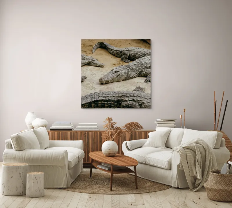 Tablou Canvas, "Crocodili odihnindu-se pe nisipul cald", Crocodili, Nisip, Trunchi, Piele, Cozi, Odihnă, Natură, 100 x 100 cm – poza 3