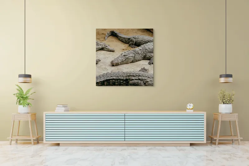 Tablou Canvas, "Crocodili odihnindu-se pe nisipul cald", Crocodili, Nisip, Trunchi, Piele, Cozi, Odihnă, Natură, 100 x 100 cm – poza 5