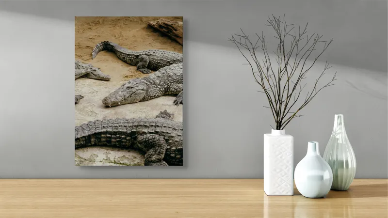 Tablou Canvas, "Crocodili odihnindu-se pe nisipul cald", Crocodili, Nisip, Trunchi, Piele, Cozi, Odihnă, Natură, 39 x 54 cm – poza 4