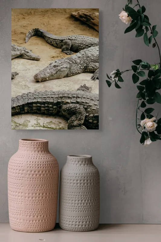 Tablou Canvas, "Crocodili odihnindu-se pe nisipul cald", Crocodili, Nisip, Trunchi, Piele, Cozi, Odihnă, Natură, 39 x 54 cm – poza 6