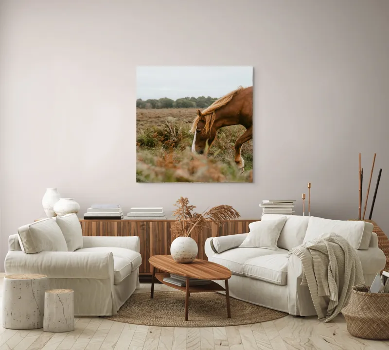 Tablou Canvas, "Calul în peisajul de toamnă liniștită", Cal, Pășune, Coadă, Natură, Cer Noros, 100 x 100 cm – poza 3