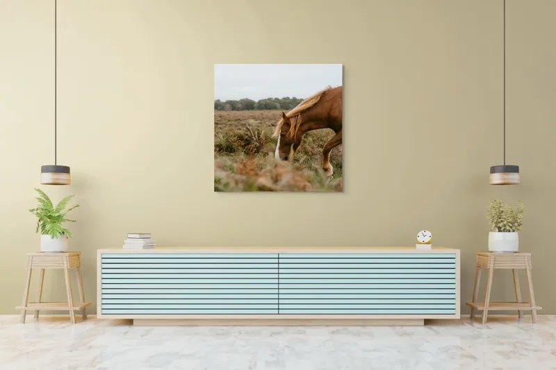Tablou Canvas, "Calul în peisajul de toamnă liniștită", Cal, Pășune, Coadă, Natură, Cer Noros, 100 x 100 cm – poza 5