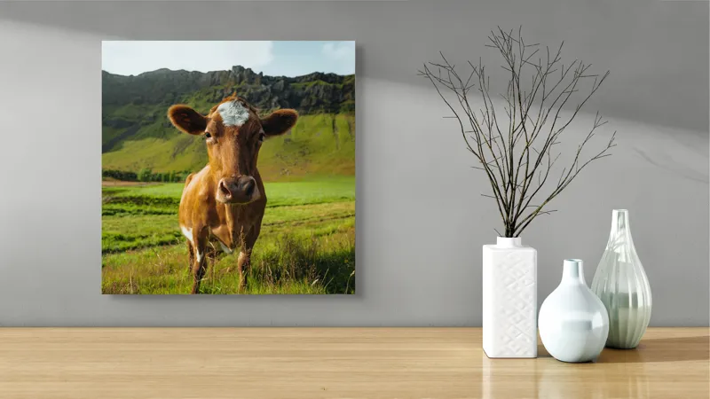 Tablou Canvas, "Vaca curioasă în peisaj montan verde", Vacă, Peisaj, Verdeață, Dealuri, Cer, Urechi, Blană, Ochi, Natură, Iarbă, 50 x 50 cm – poza 3