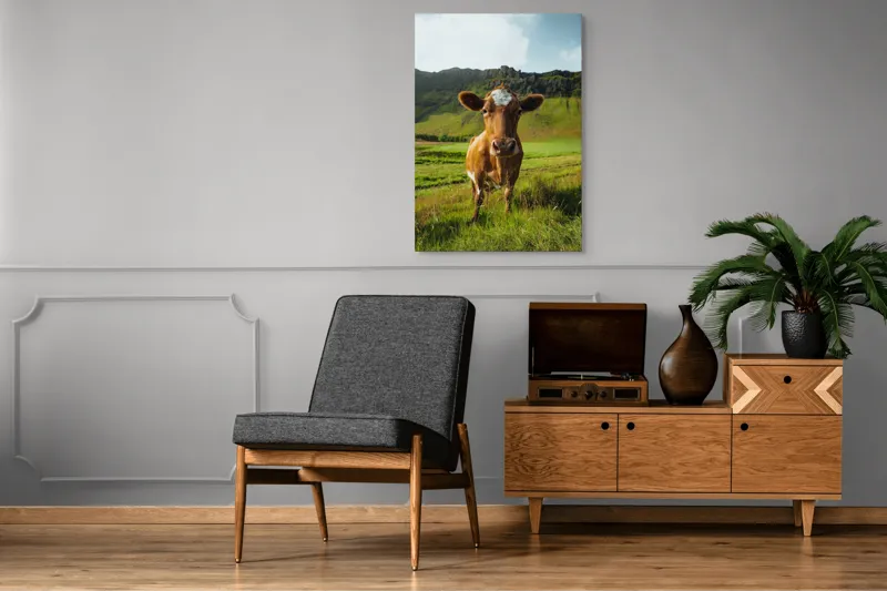 Tablou Canvas, "Vaca curioasă în peisaj montan verde", Vacă, Peisaj, Verdeață, Dealuri, Cer, Urechi, Blană, Ochi, Natură, Iarbă, 70 x 100 cm – poza 6