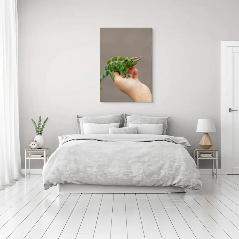 Tablou Canvas, "Cameleonul fermecat în lumină naturală", Verde, Cornuri, Solzi, Mână, Fundal, Ochi, Textură, Leneș, Bizar, Natură, 70 x 100 cm – poza 3