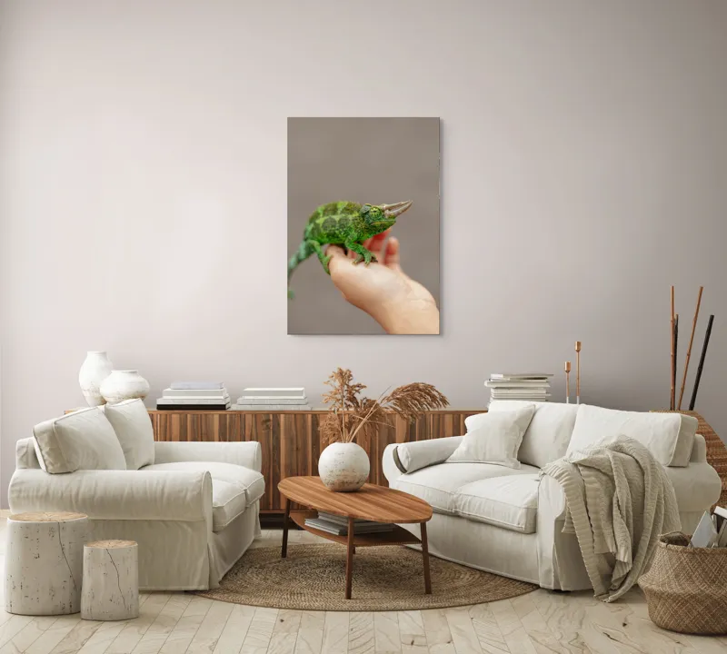Tablou Canvas, "Cameleonul fermecat în lumină naturală", Verde, Cornuri, Solzi, Mână, Fundal, Ochi, Textură, Leneș, Bizar, Natură, 70 x 100 cm – poza 4