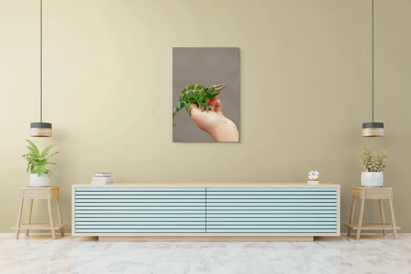 Tablou Canvas, "Cameleonul fermecat în lumină naturală", Verde, Cornuri, Solzi, Mână, Fundal, Ochi, Textură, Leneș, Bizar, Natură, 70 x 100 cm – poza 5