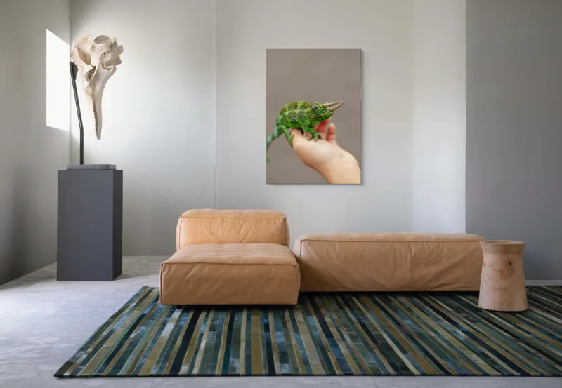 Tablou Canvas, "Cameleonul fermecat în lumină naturală", Verde, Cornuri, Solzi, Mână, Fundal, Ochi, Textură, Leneș, Bizar, Natură, 70 x 100 cm – poza 7