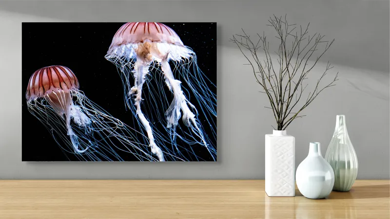 Tablou Canvas, "Dansul grațios al meduzelor în noapte", Luminișuri, Grație, Culoare, Ocean, Mister, Vals, Eleganță, Fragilitate, 70 x 50 cm – poza 3
