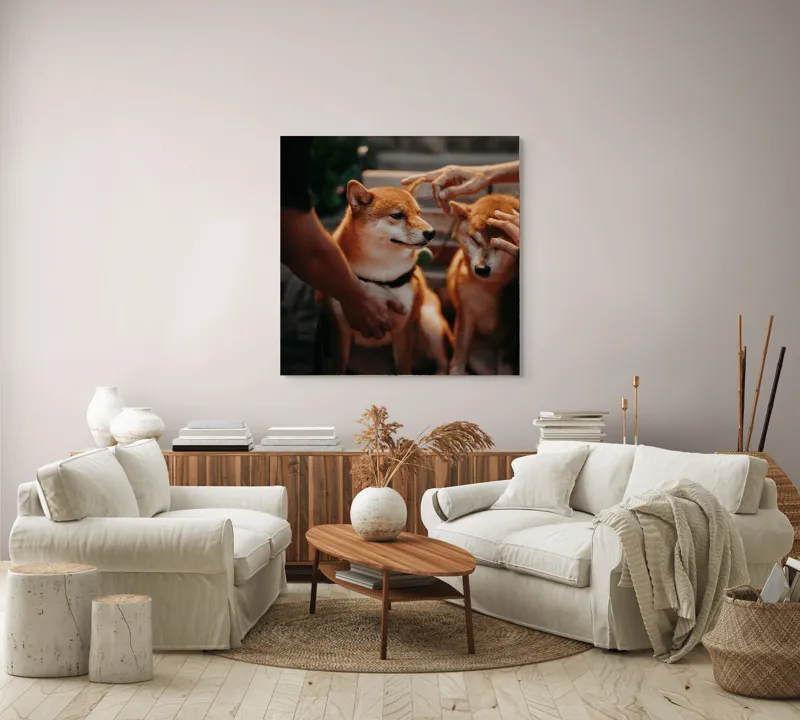 Tablou Canvas, "Câini răsfățați la apusul soarelui", 100 x 100 cm – poza 3