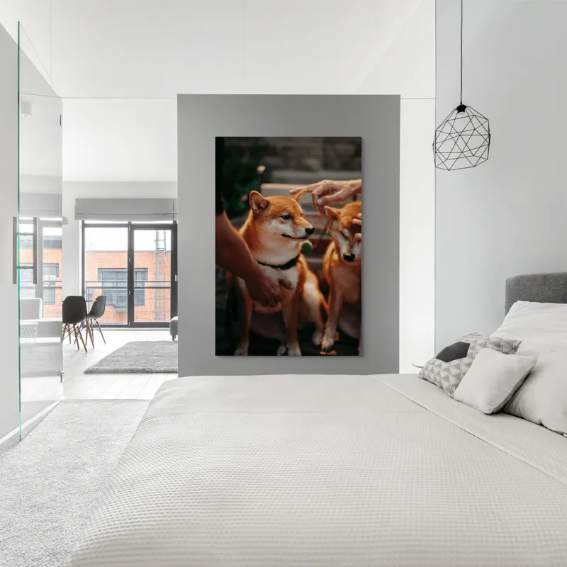 Tablou Canvas, "Câini răsfățați la apusul soarelui", 100 x 150 cm – poza 5