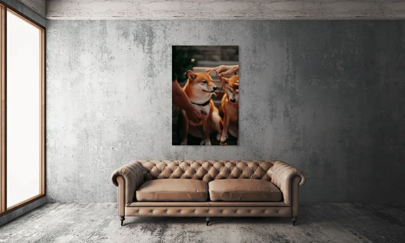 Tablou Canvas, "Câini răsfățați la apusul soarelui", 100 x 150 cm – poza 6
