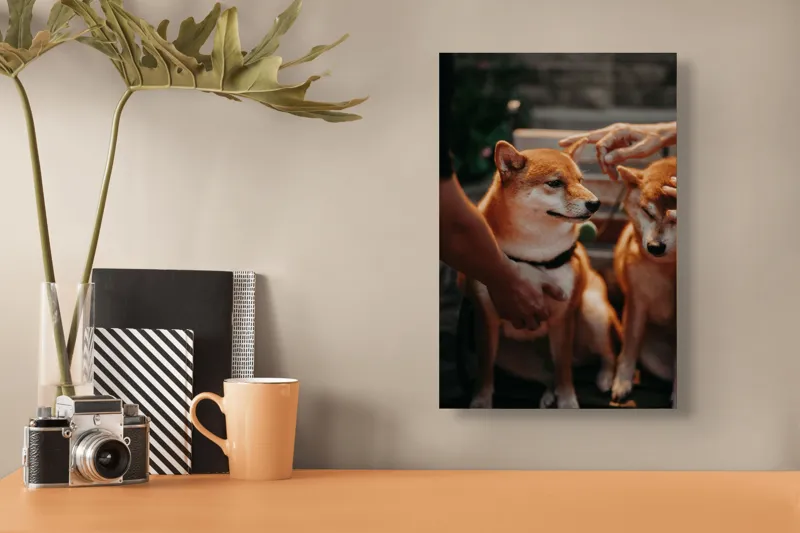 Tablou Canvas, "Câini răsfățați la apusul soarelui", Nu pot identifica persoanele sau animalele din imagine., 26 x 39 cm – poza 3