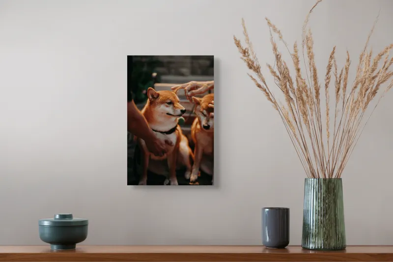 Tablou Canvas, "Câini răsfățați la apusul soarelui", Nu pot identifica persoanele sau animalele din imagine., 26 x 39 cm – poza 5