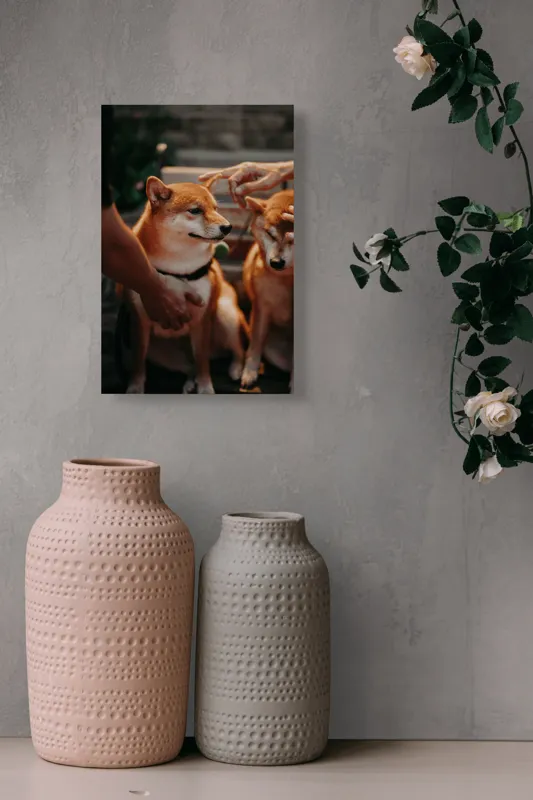 Tablou Canvas, "Câini răsfățați la apusul soarelui", Nu pot identifica persoanele sau animalele din imagine., 26 x 39 cm – poza 6