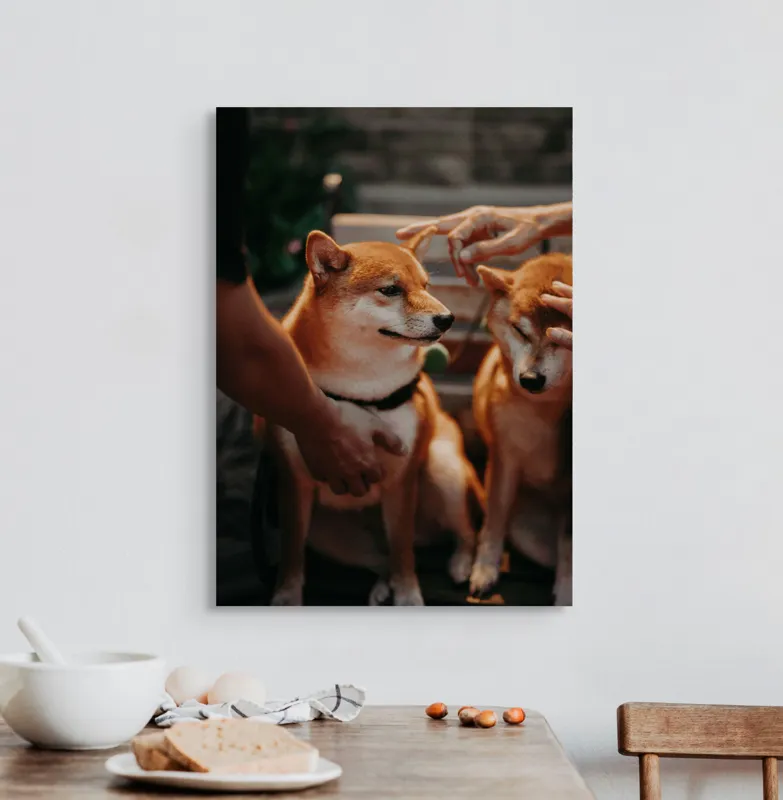 Tablou Canvas, "Câini răsfățați la apusul soarelui", 50 x 70 cm – poza 3
