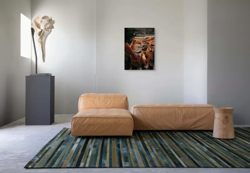 Tablou Canvas, "Câini răsfățați la apusul soarelui", 50 x 70 cm – poza 7