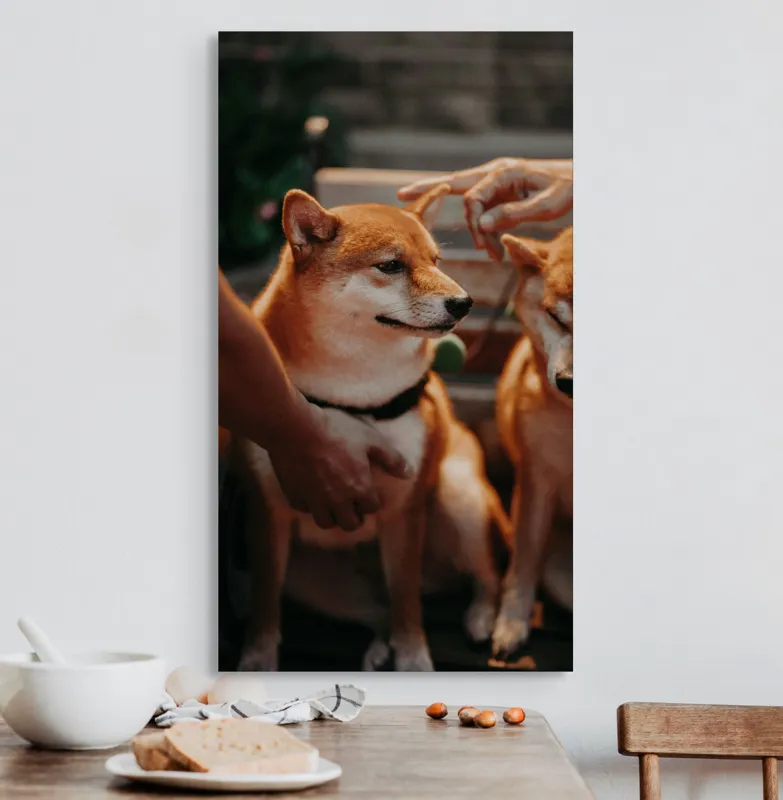 Tablou Canvas, "Câini răsfățați la apusul soarelui", 50 x 90 cm – poza 3