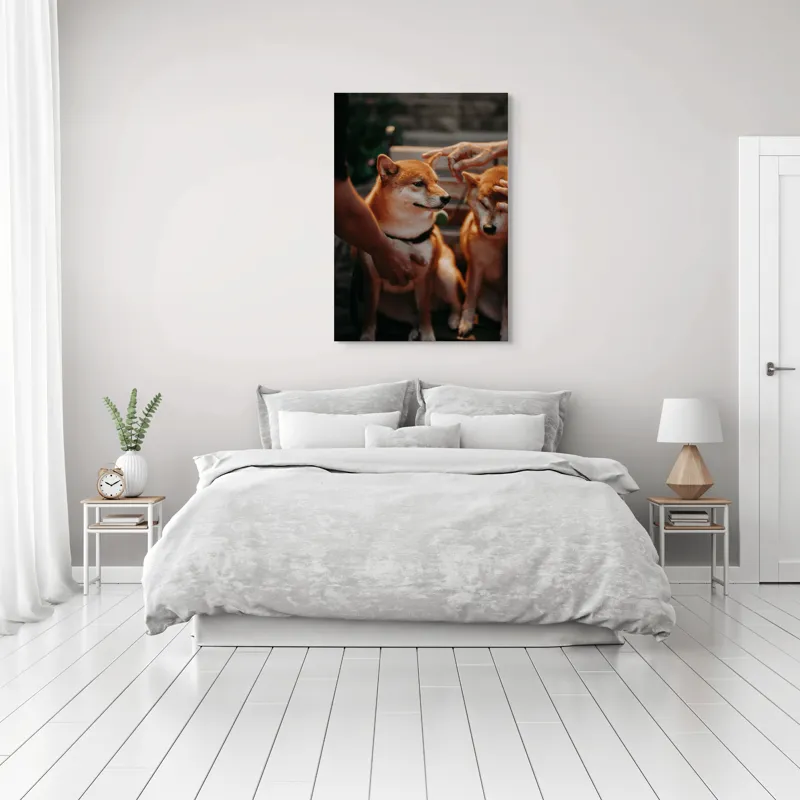 Tablou Canvas, "Câini răsfățați la apusul soarelui", 70 x 100 cm – poza 3