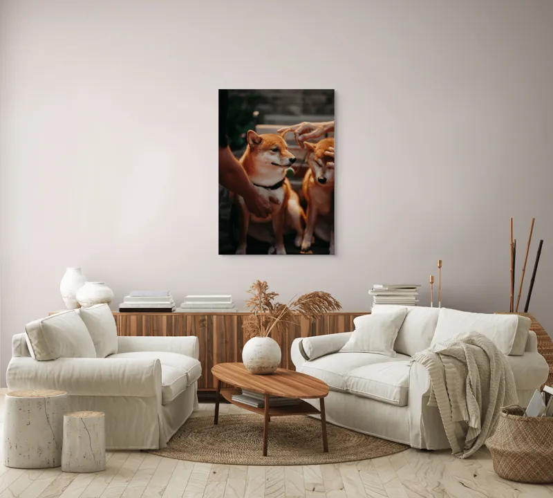 Tablou Canvas, "Câini răsfățați la apusul soarelui", 70 x 100 cm – poza 4