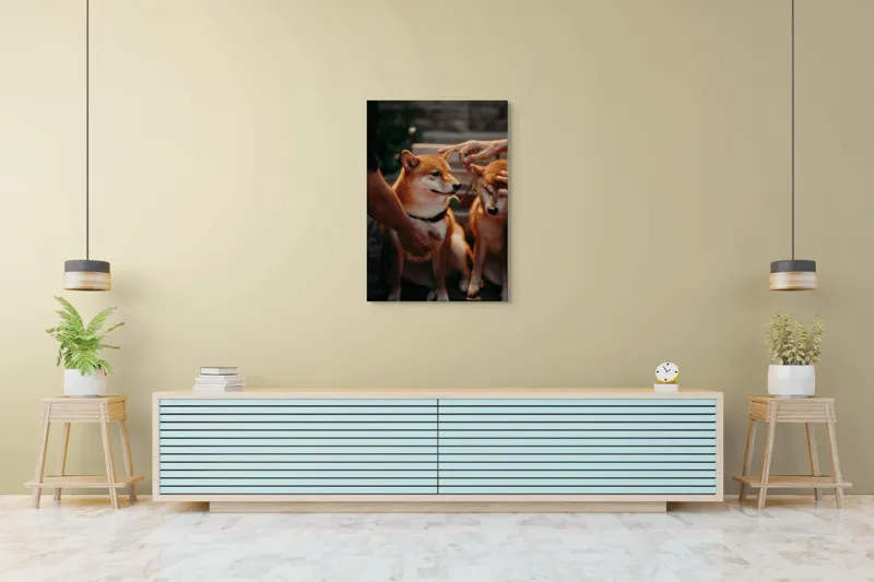 Tablou Canvas, "Câini răsfățați la apusul soarelui", 70 x 100 cm – poza 5