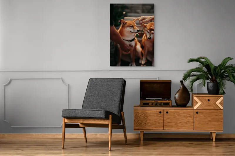 Tablou Canvas, "Câini răsfățați la apusul soarelui", 70 x 100 cm – poza 6