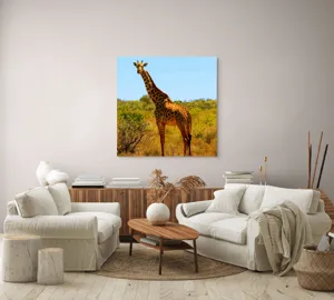Tablou Canvas, "Girafa singuratică în savană africană", Scuză-mă, 100 x 100 cm – poza 3