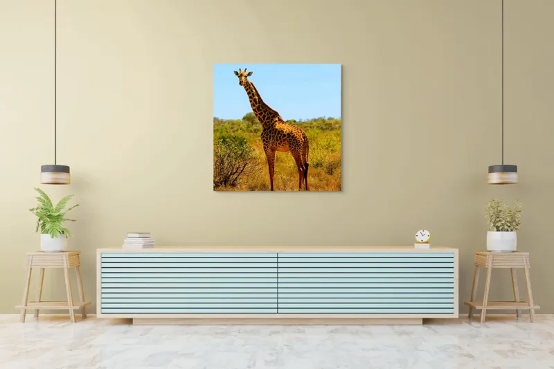 Tablou Canvas, "Girafa singuratică în savană africană", Scuză-mă, 100 x 100 cm – poza 5