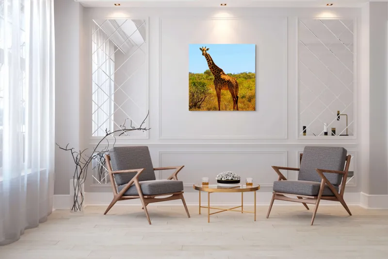Tablou Canvas, "Girafa singuratică în savană africană", Scuză-mă, 100 x 100 cm – poza 7