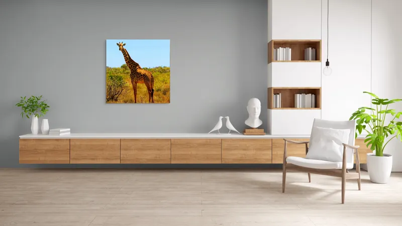 Tablou Canvas, "Girafa singuratică în savană africană", Scuză-mă, 100 x 100 cm – poza 8