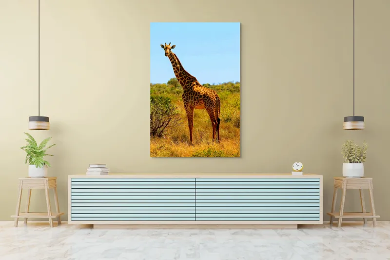 Tablou Canvas, "Girafa singuratică în savană africană", Scuză-mă, 100 x 150 cm – poza 4
