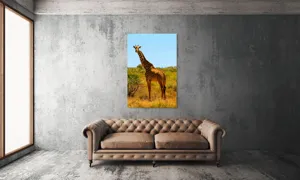 Tablou Canvas, "Girafa singuratică în savană africană", Scuză-mă, 100 x 150 cm – poza 6