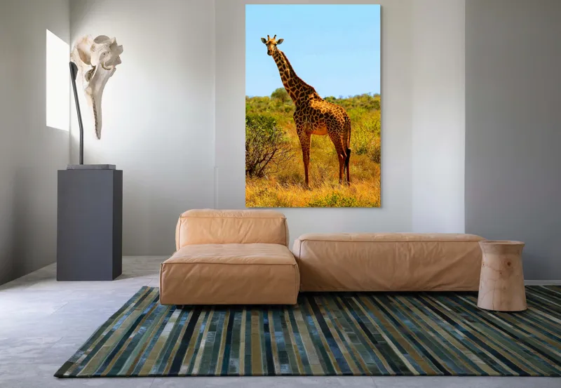 Tablou Canvas, "Girafa singuratică în savană africană", Scuză-mă, 100 x 150 cm – poza 7