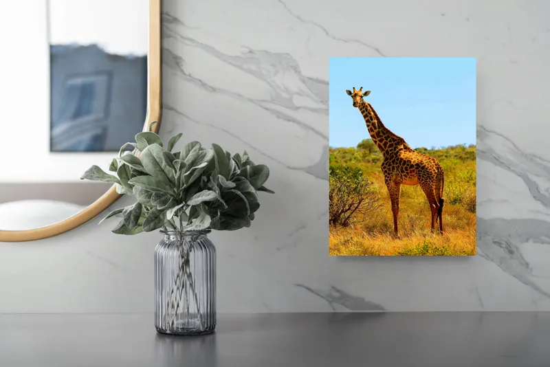 Tablou Canvas, "Girafa singuratică în savană africană", Scuză-mă, 26 x 39 cm – poza 4