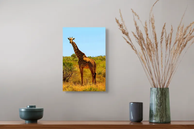 Tablou Canvas, "Girafa singuratică în savană africană", Scuză-mă, 26 x 39 cm – poza 5