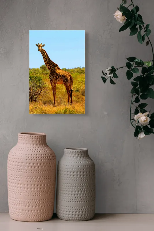 Tablou Canvas, "Girafa singuratică în savană africană", Scuză-mă, 26 x 39 cm – poza 6