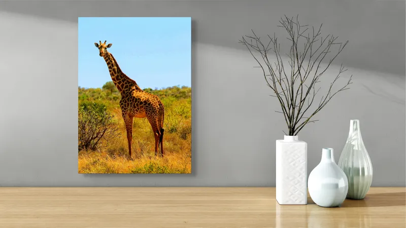 Tablou Canvas, "Girafa singuratică în savană africană", Scuză-mă, 39 x 54 cm – poza 4