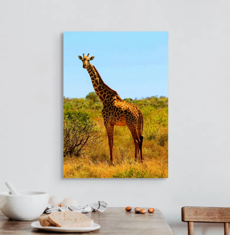 Tablou Canvas, "Girafa singuratică în savană africană", Scuză-mă, 50 x 70 cm – poza 3