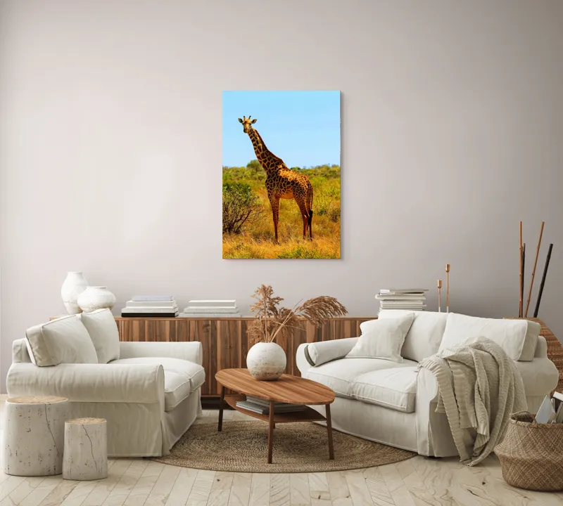Tablou Canvas, "Girafa singuratică în savană africană", Scuză-mă, 70 x 100 cm – poza 4