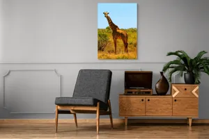 Tablou Canvas, "Girafa singuratică în savană africană", Scuză-mă, 70 x 100 cm – poza 6