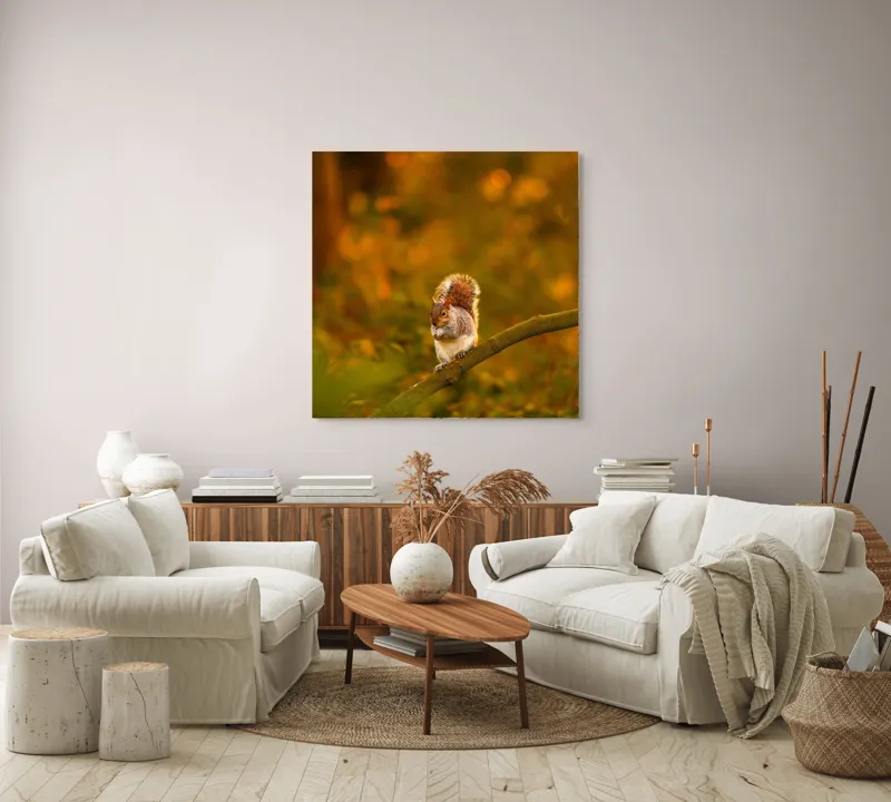 Tablou Canvas, "Veveriță pe creangă la apus", Veveriță, Ramură, Pădure, Apus, Căldură, Frunziș, Toamnă, Liniște, Blană, Auriu, 100 x 100 cm – poza 3