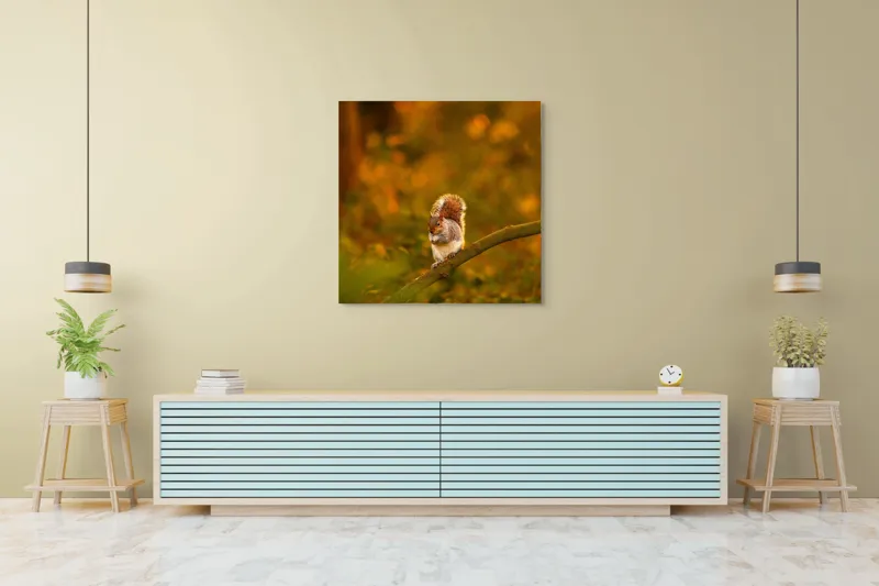 Tablou Canvas, "Veveriță pe creangă la apus", Veveriță, Ramură, Pădure, Apus, Căldură, Frunziș, Toamnă, Liniște, Blană, Auriu, 100 x 100 cm – poza 5