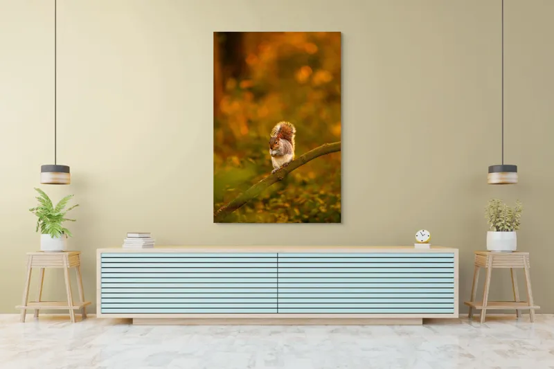 Tablou Canvas, "Veveriță pe creangă la apus", Veveriță, Ramură, Pădure, Apus, Căldură, Frunziș, Toamnă, Liniște, Blană, Auriu, 100 x 150 cm – poza 4