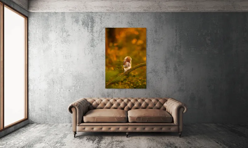 Tablou Canvas, "Veveriță pe creangă la apus", Veveriță, Ramură, Pădure, Apus, Căldură, Frunziș, Toamnă, Liniște, Blană, Auriu, 100 x 150 cm – poza 6