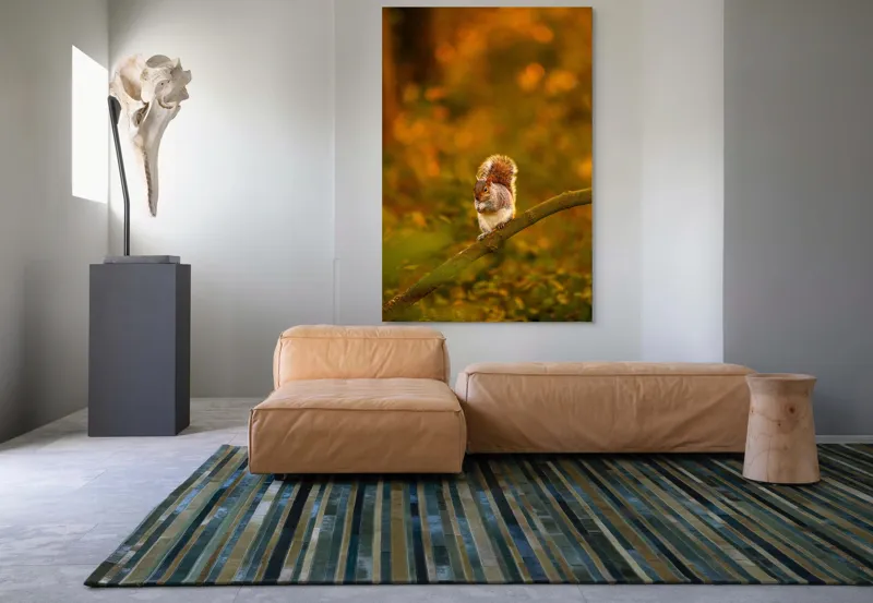 Tablou Canvas, "Veveriță pe creangă la apus", Veveriță, Ramură, Pădure, Apus, Căldură, Frunziș, Toamnă, Liniște, Blană, Auriu, 100 x 150 cm – poza 7